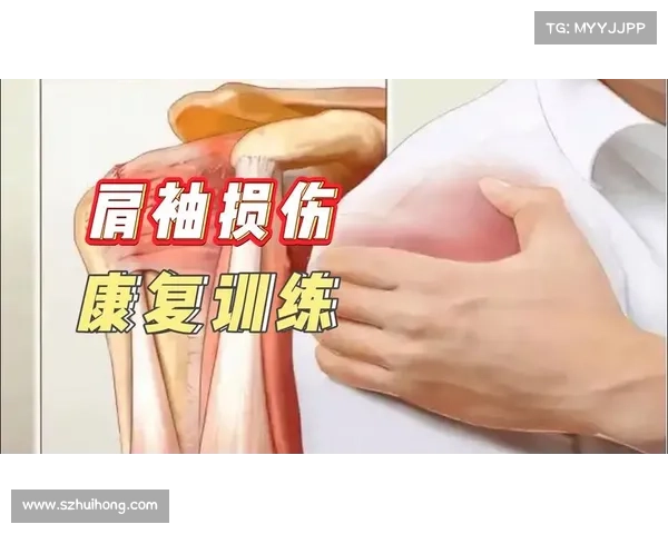 哑铃训练对肩袖损伤康复过程中不同肌群激活差异的研究 哑铃训练对肩袖损伤康复过程中不同肌群激活差异的研究