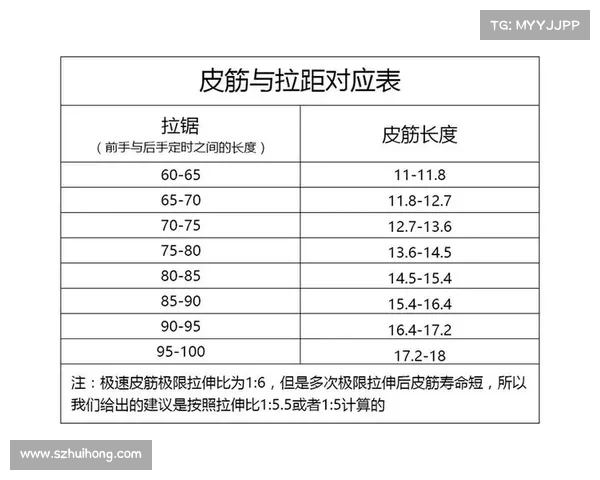 康复训练中拉力绳的作用机制及其在不同疾病中的应用研究 康复训练中拉力绳的作用机制及其在不同疾病中的应用研究
